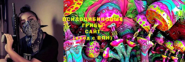 шишки Дегтярск