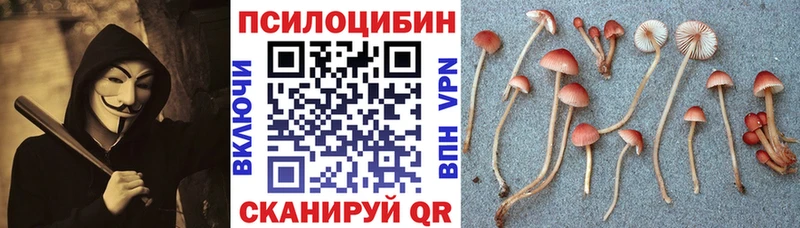 дарнет шоп  Фролово  Галлюциногенные грибы мухоморы 